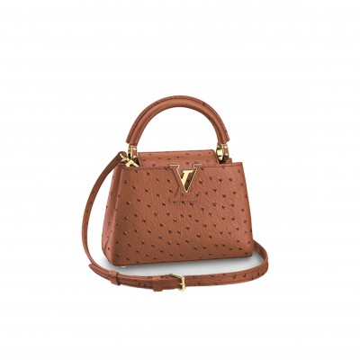 LOUIS VUITTON CAPUCINES MINI M95509 (21*14*8cm) 